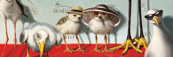 Hats: Hampton Chicks by Lucia Heffernan