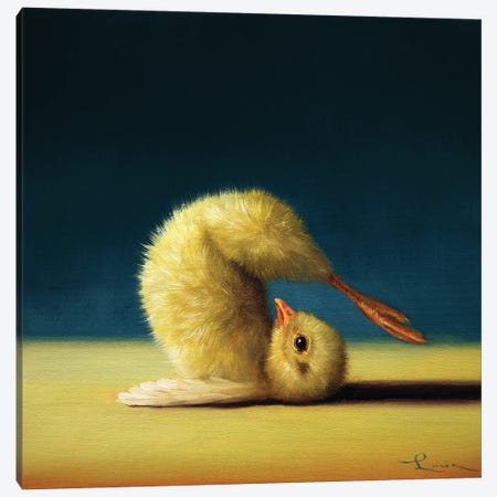 Plow Pose (Yoga Chick) Canvas Print #HEF263} by Lucia Heffernan Canvas Art