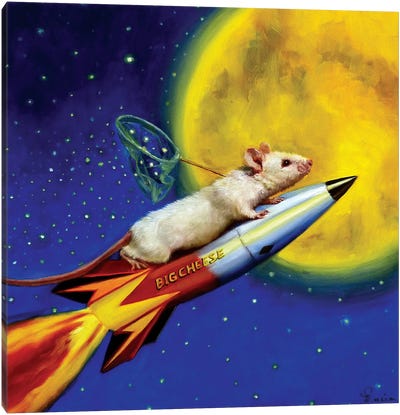 Dream Catcher Canvas Art Print - Mouse Art