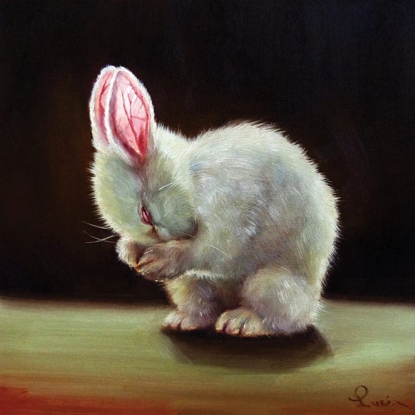 Lucia Heffernan: More Carrot Please by Lucia Heffernan