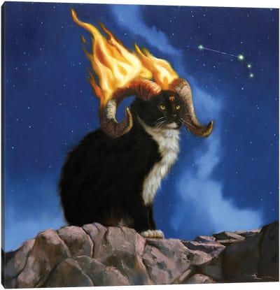 Aries Canvas Art Print - Tuxedo Cat Art