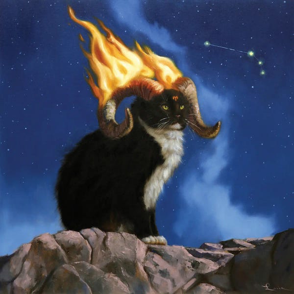 Tuxedo Cats: Aries by Lucia Heffernan