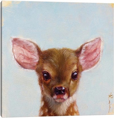 Bambi Canvas Art Print - Lucia Heffernan