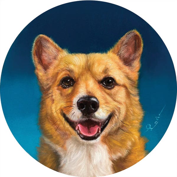 Lucia Heffernan: Barry by Lucia Heffernan