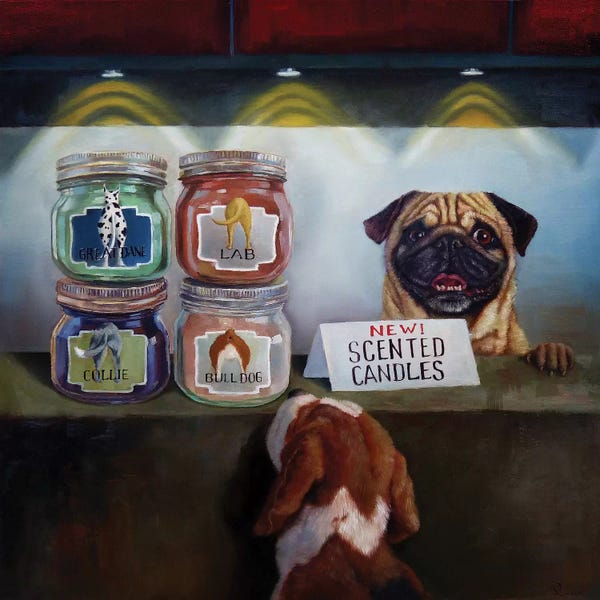 Pugs: Aromatherapy by Lucia Heffernan