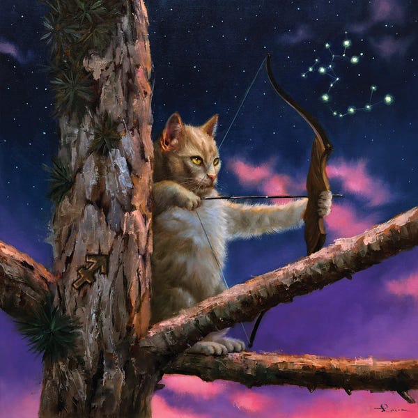 Maine Coon Cats: Sagittarius by Lucia Heffernan
