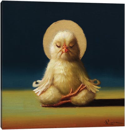 Yoga Chick Half Lotus Canvas Art Print - Chicken & Rooster Art