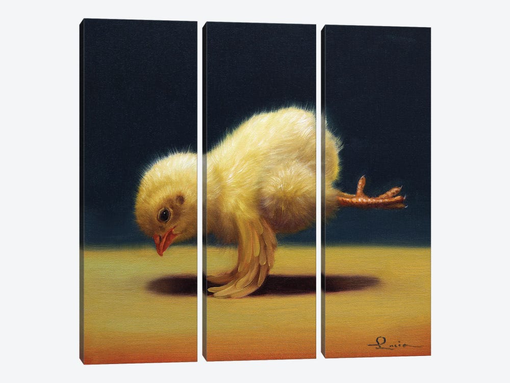 Yoga Chick Crane by Lucia Heffernan 3-piece Canvas Wall Art