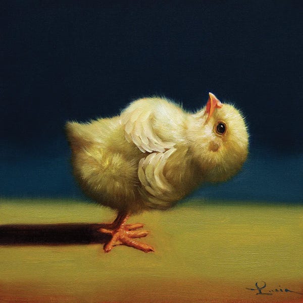 Yoga: Yoga Chick Revolved Chair by Lucia Heffernan