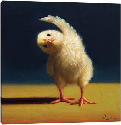 Yoga Chick Standing Side Bend Canvas Art Print - Chicken & Rooster Art
