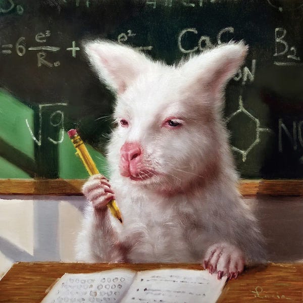 Kangaroos: Zoned Out by Lucia Heffernan