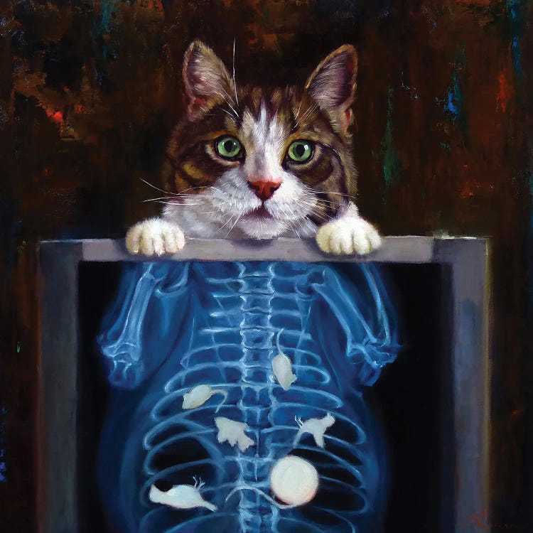 Cat Scan by Lucia Heffernan wall art