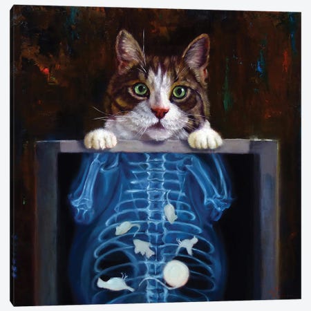 Cat Scan Canvas Print #HEF351} by Lucia Heffernan Canvas Art