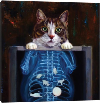 Cat Scan Canvas Art Print - Lucia Heffernan