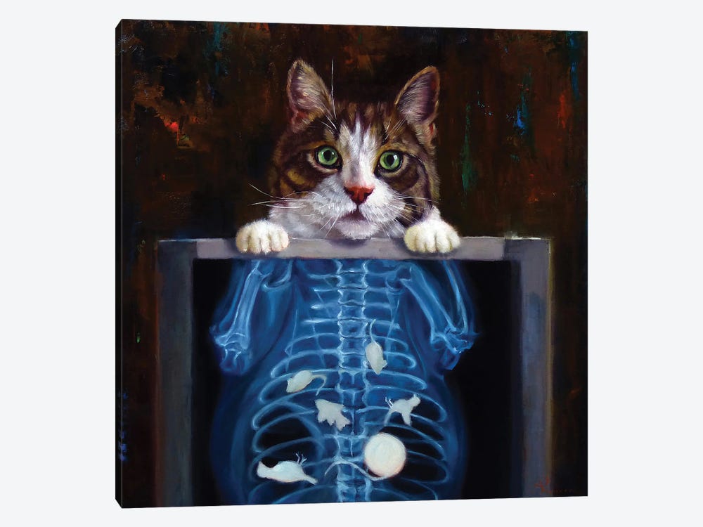 Cat Scan by Lucia Heffernan 1-piece Canvas Print