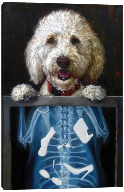 Inside Story Canvas Art Print - Best Selling Dog Art