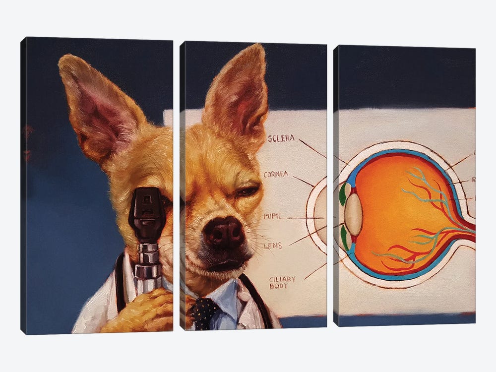 Seeing Eye Dog by Lucia Heffernan 3-piece Canvas Art