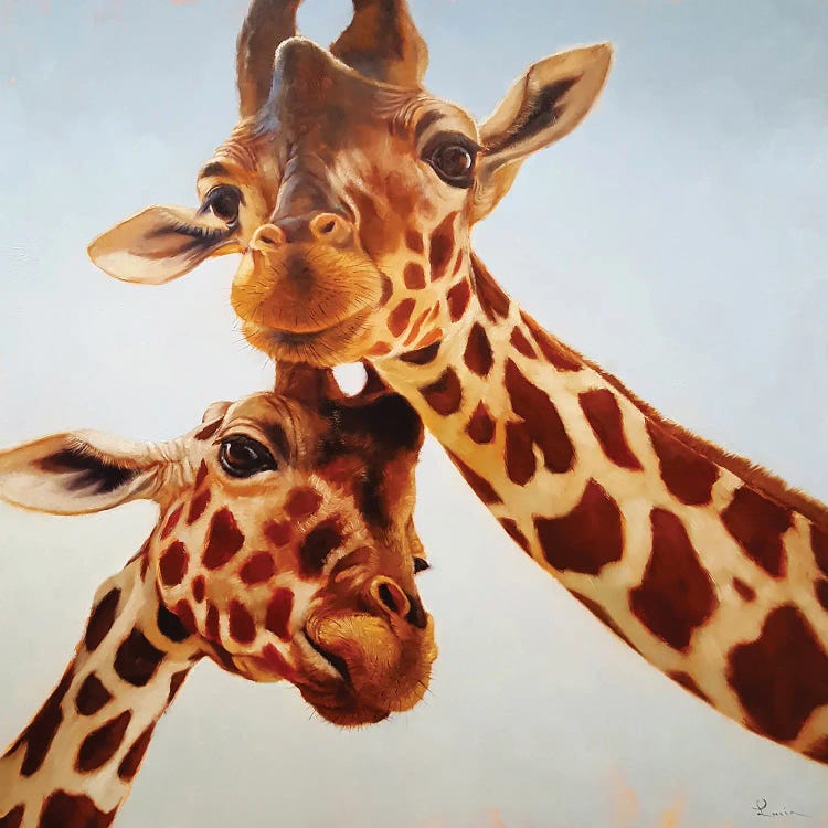 Soulmate II by Lucia Heffernan wall art