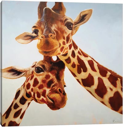 Soulmate II Canvas Art Print - Giraffe Art