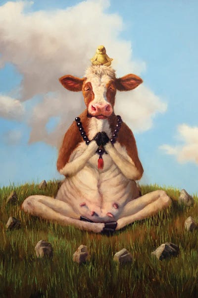 Rocks: Cowtopia by Lucia Heffernan