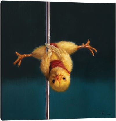 Pole Chick Inverted V Canvas Art Print - Chicken & Rooster Art