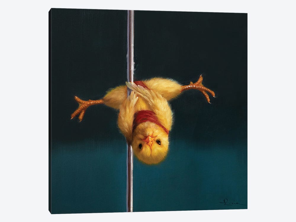 Pole Chick Inverted V by Lucia Heffernan 1-piece Canvas Wall Art