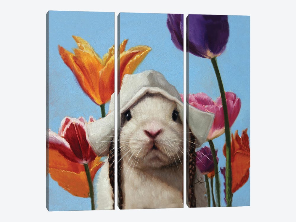 Dutch Bunny by Lucia Heffernan 3-piece Canvas Art