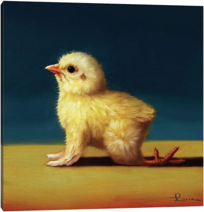 Yoga Chick Cow Canvas Art Print - Chicken & Rooster Art