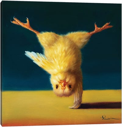 Yoga Chick One Legged Tree Canvas Art Print - Chicken & Rooster Art