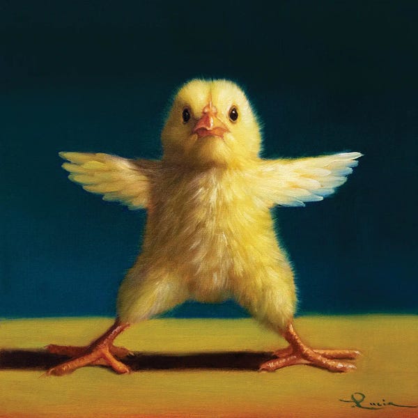 Chickens & Roosters: Yoga Chick Star by Lucia Heffernan