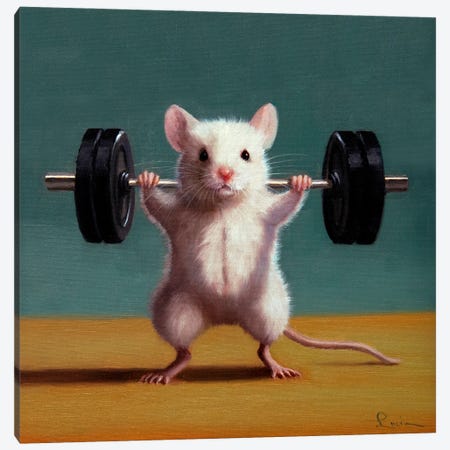 Gym Rat Back Squat Canvas Print #HEF398} by Lucia Heffernan Canvas Art