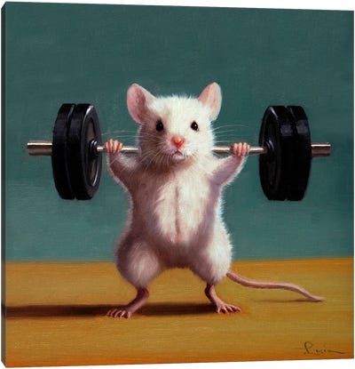 Gym Rat Back Squat Canvas Art Print - Mouse Art