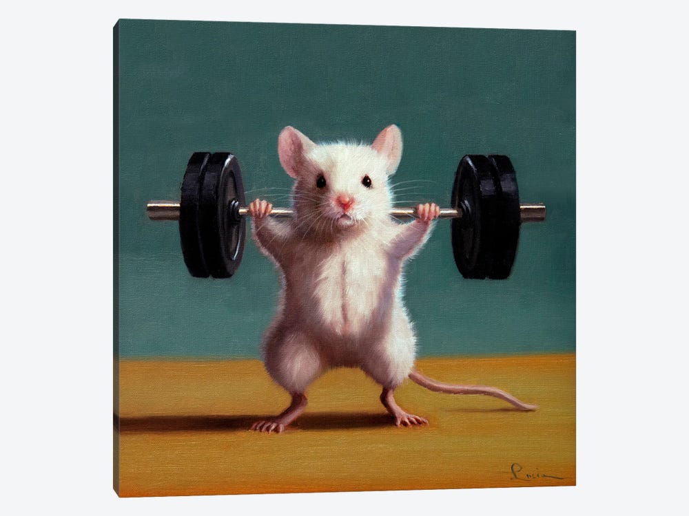 Gym Rat Back Squat by Lucia Heffernan 1-piece Canvas Wall Art