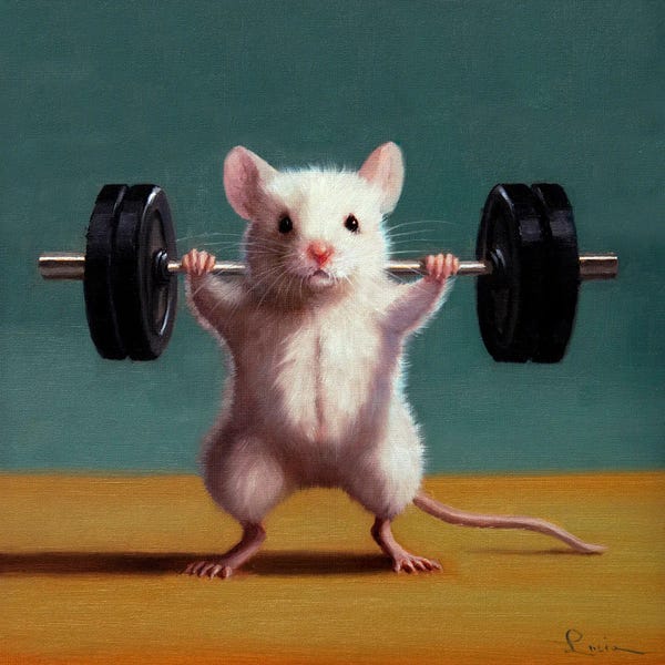 Rodents: Gym Rat Back Squat by Lucia Heffernan