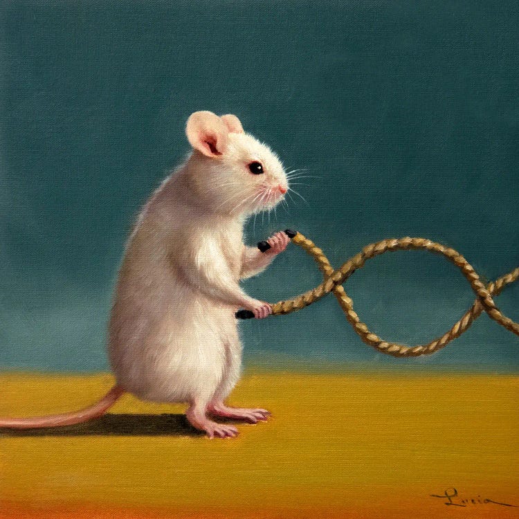 Gym Rat Battle Rope by Lucia Heffernan wall art