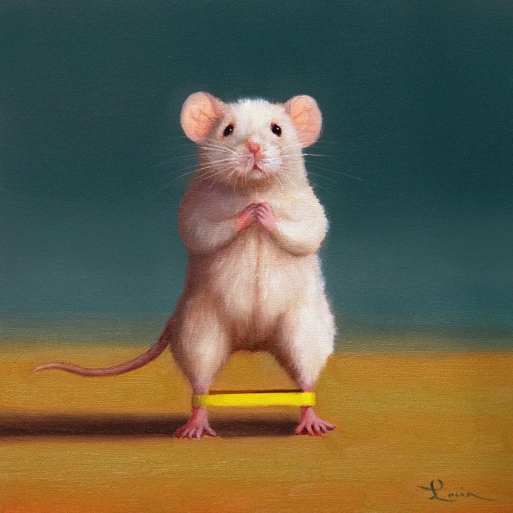 Gym Rat Duck Walk by Lucia Heffernan wall art