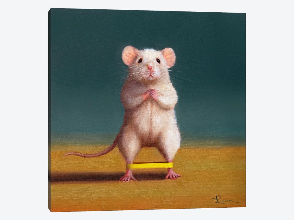 Gym Rat Duck Walk by Lucia Heffernan 1-piece Canvas Artwork