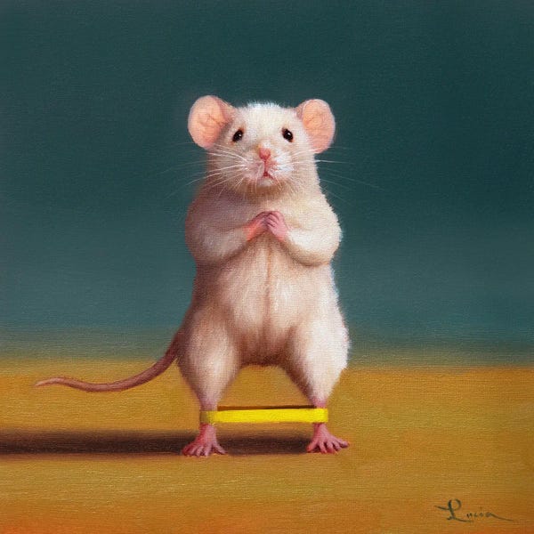 Rodents: Gym Rat Duck Walk by Lucia Heffernan