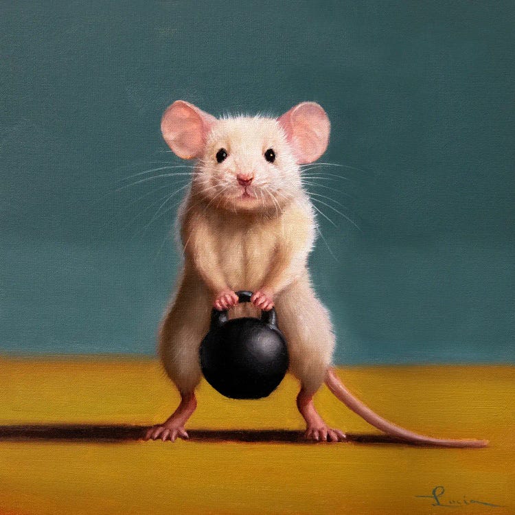 Gym Rat Kettleball Front Squat by Lucia Heffernan wall art