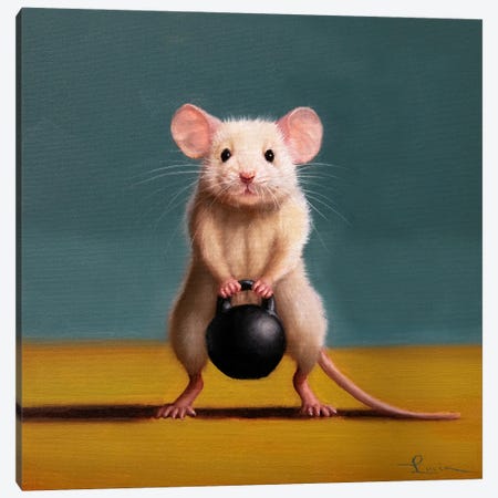 Gym Rat Kettleball Front Squat Canvas Print #HEF402} by Lucia Heffernan Canvas Wall Art