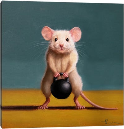 Gym Rat Kettleball Front Squat Canvas Art Print - Mouse Art
