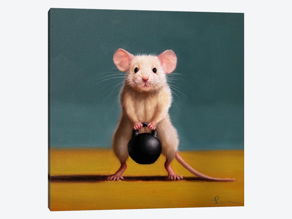 Gym Rat Kettleball Front Squat by Lucia Heffernan 1-piece Canvas Art