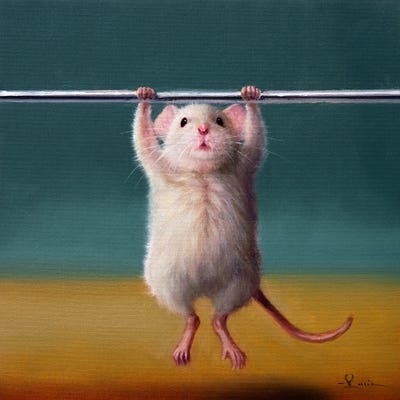 Gym Rat Pull Up by Lucia Heffernan framed wall art