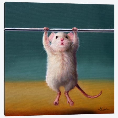 Gym Rat Pull Up Canvas Print #HEF403} by Lucia Heffernan Canvas Wall Art