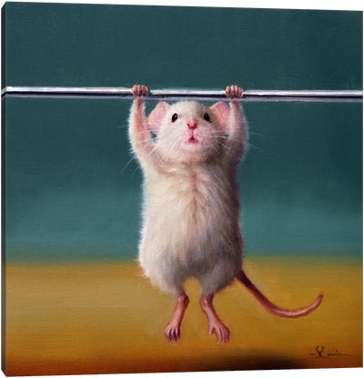 Gym Rat Pull Up Canvas Art Print - Mouse Art