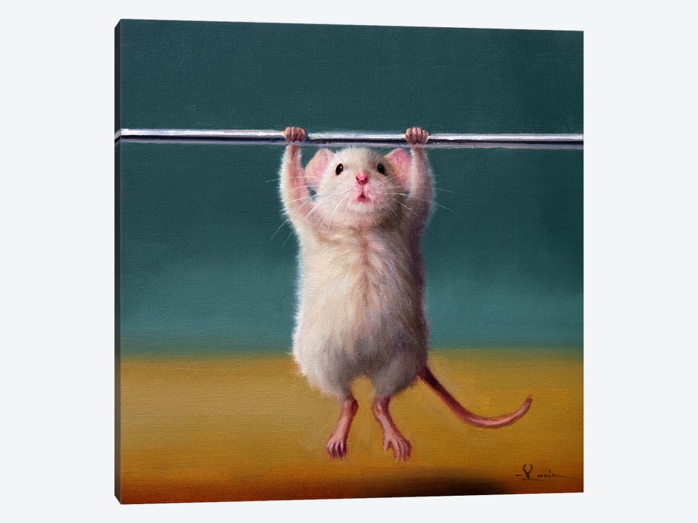 Gym Rat Pull Up by Lucia Heffernan 1-piece Canvas Art Print