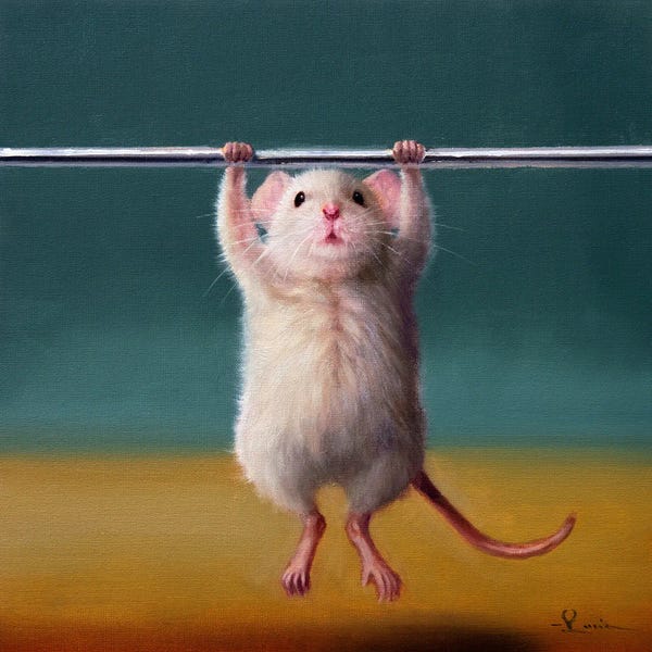 Rodents: Gym Rat Pull Up by Lucia Heffernan