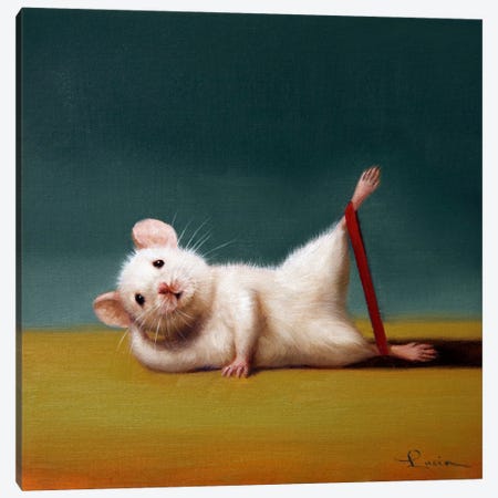 Gym Rat Side Leg Lift Canvas Print #HEF404} by Lucia Heffernan Canvas Print