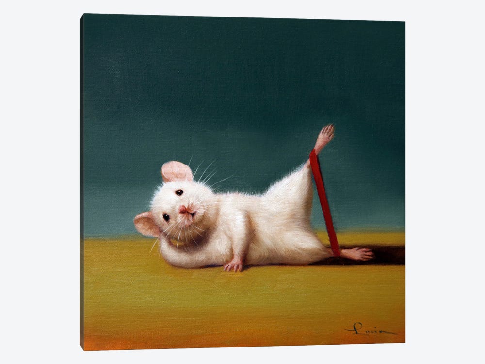 Gym Rat Side Leg Lift by Lucia Heffernan 1-piece Canvas Art