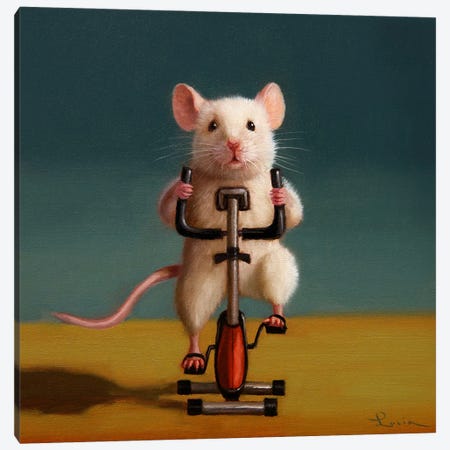 Gym Rat Spin Canvas Print #HEF405} by Lucia Heffernan Canvas Print